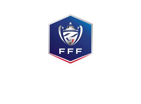 Football : FFF, LFP, qui fait quoi