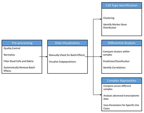 RNA Sequencing 的图像结果