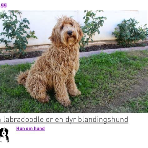 Image result for API Bop Configuration