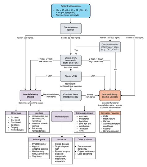How Do Doctors Test For Iron Deficiency Anemia - Infoupdate.org
