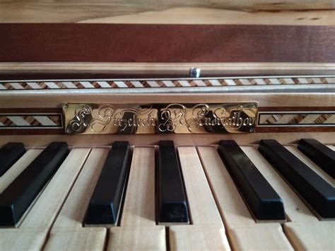 Rare String Instruments 的图像结果