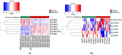 Cancers | Special Issue : Molecular Biomarkers and Precision Medicine ...