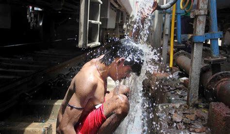 Climate change may lead to male infertility crisis- The Week