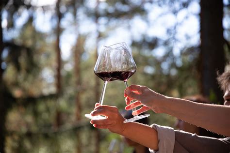 This is what Wine in the Woods is like - FINLAND, NATURALLY