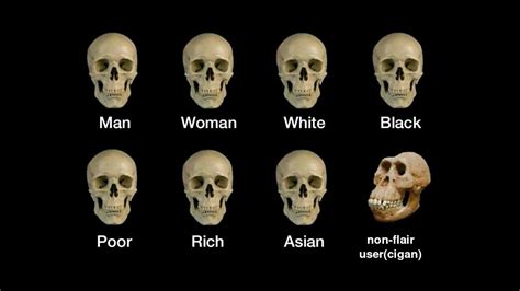 Subhumans. : r/balkans_irl