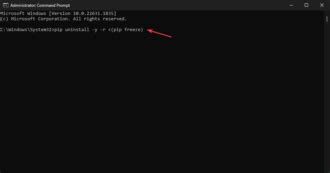 Image result for PIP Remove Package