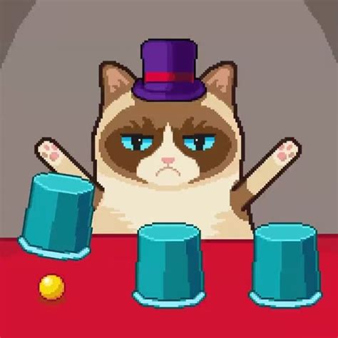 Image result for Grumpy Cat Game