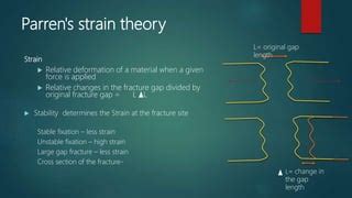 Image result for Feature Writing Structure Example