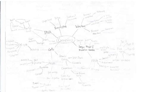 Image result for Genetic Engineering Concept Map