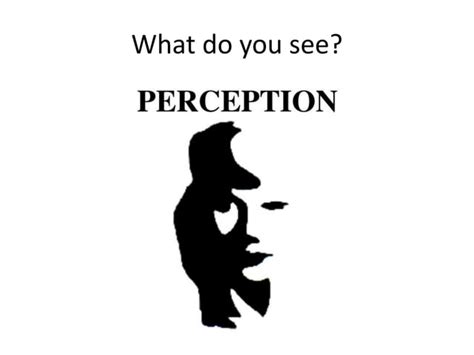 Perception Tutorial 的图像结果
