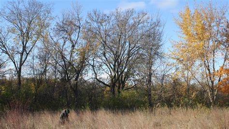 Explore 6 must-visit Twin Cities metro parks along the Mississippi ...