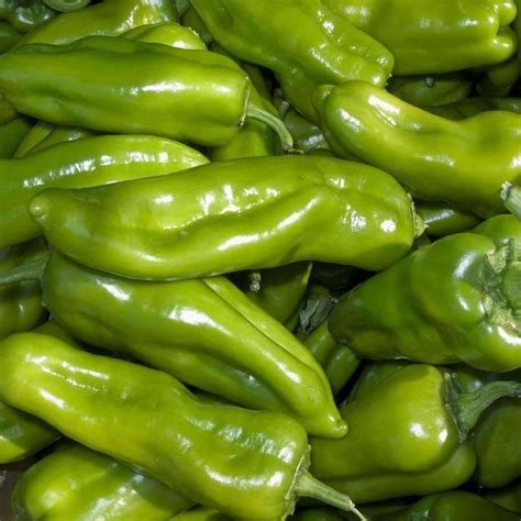 Pepper (Sweet/hot) 'Cubanelle' - (Capsicum annuum) | Stuffed peppers ...