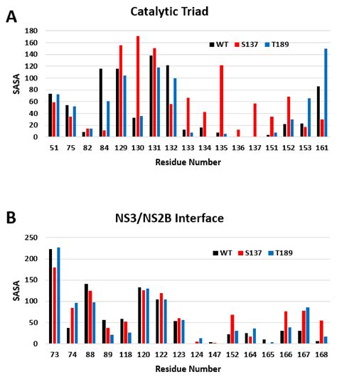 In Silico Prediction of the Phosphorylation of NS3 as an Essential ...