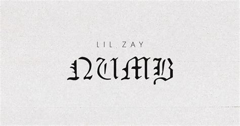 Lil Zay | Tour