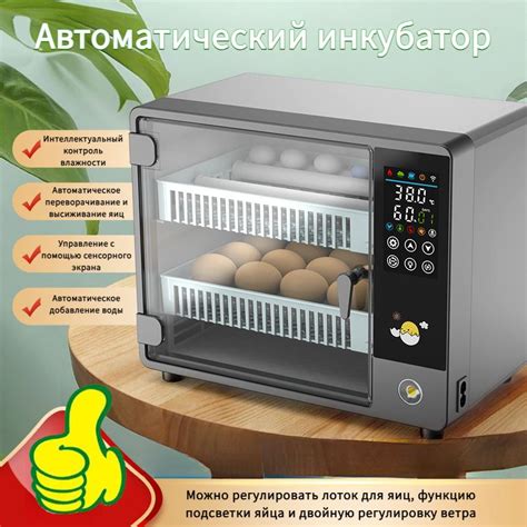 Автоматический инкубатор для яиц P24 с регулятором температуры ...