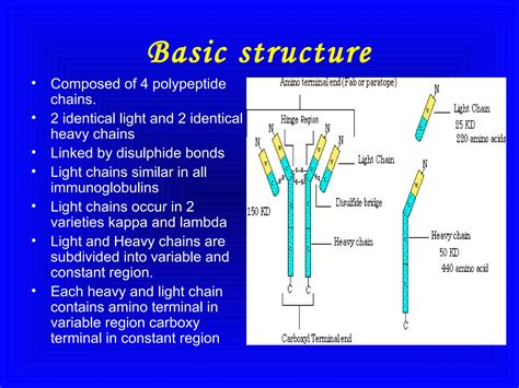 Immunoglobulins | PPT