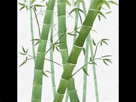 百家乐(249)(实战9小时)竹子用4 年时间仅仅长4厘米 到了第5年开始每天以30厘米的速度生长，它的根4年时间在土壤里伸展数百米，竹子用4年时间不是生长而是扎根。。。。