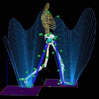 Image result for Visualisation Normal Walk