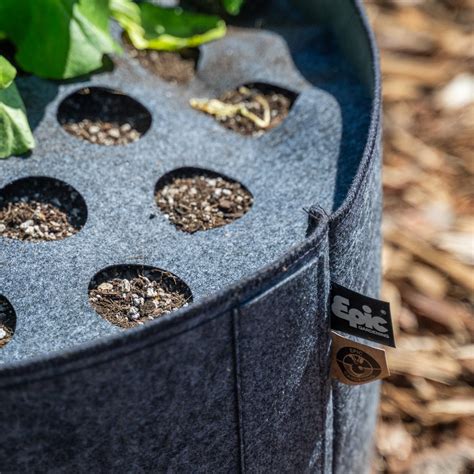 Fabric Grow Bags – Epic Gardening