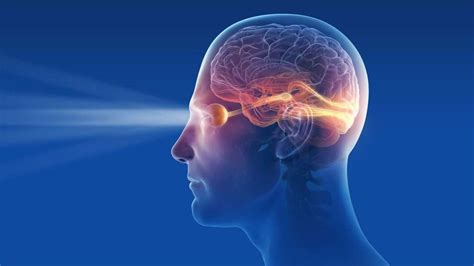 Computer Vision Animated Images 的图像结果