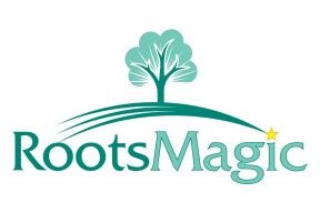 Image result for RootsMagic Chart Examples