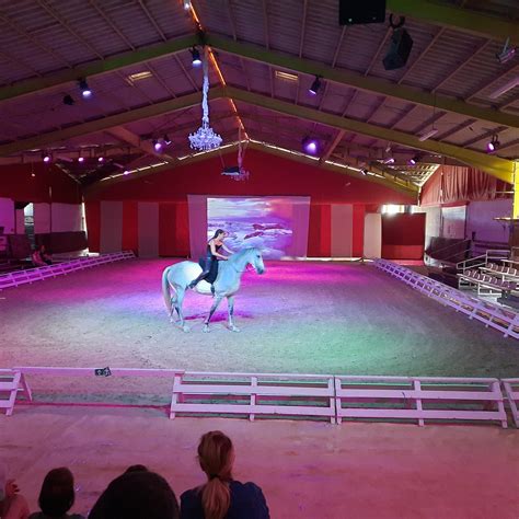 HARAS NATIONAL D’UZÈS (2025) All You Need to Know BEFORE You Go (with ...