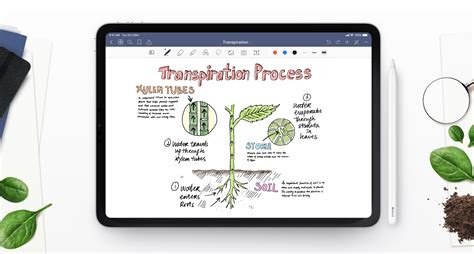 Image result for Good Notes App 5