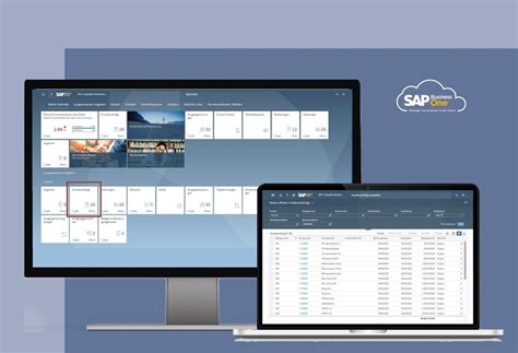 Image result for SAP B1 Web Client