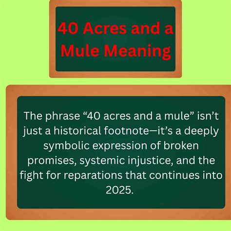 Class of 09 Quotes Funny and Iconic Lines from the Flipside