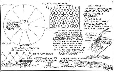 Image result for Net Tutorial for Beginners