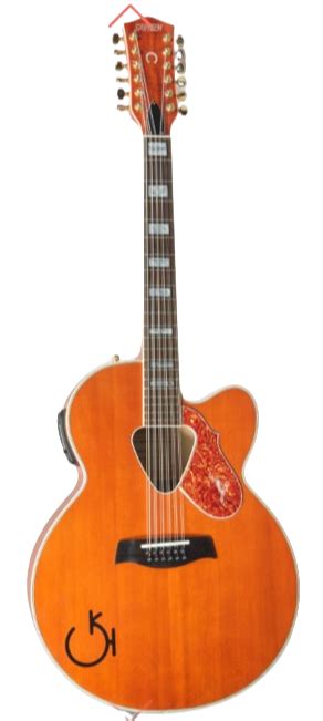 Image result for Gretsch 12 String Rancher