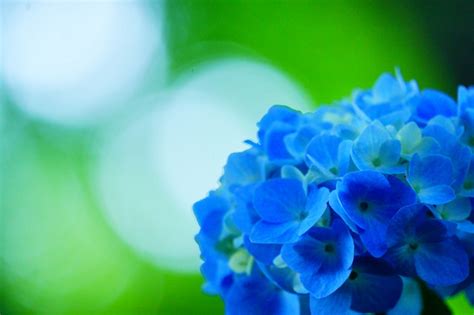Image result for Stack Formation Vector