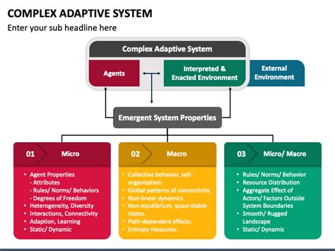 Image result for Complex Adaptive System Examples