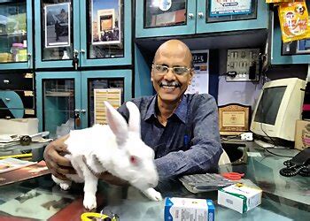 3 Best Veterinary Hospitals in Aurangabad, MH - Expert Recommendations