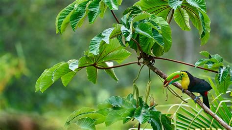 Image result for First Computer Algorithm Image