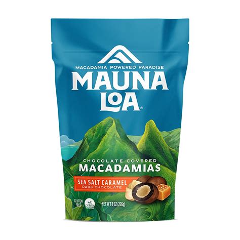Amazon.com : Mauna Loa Premium Chocolate Covered Macadamia Nuts, Dark ...