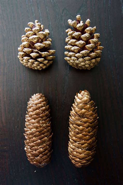 Image result for Paper Tree Craft