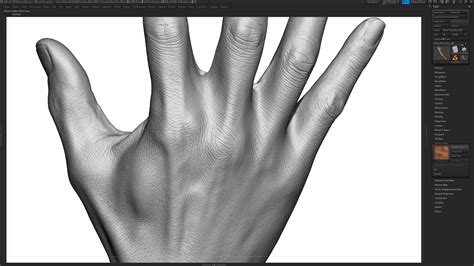 2 x Male And Female 3D Hand Models / Black 60 Years Old