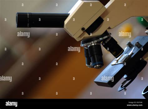 Short Microscope 的图像结果