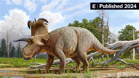 Lokiceratops, a Horned Dinosaur, May Be a New Species - The New York Times