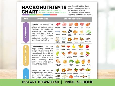 Macronutrients Chart Proteins Carbohydrates Fats Fibers Healthy Eating Reference Guide Nutrition ...
