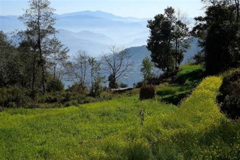 Nagarkot | Kathmandu - What to Expect | Timings | Tips - Trip Ideas by ...