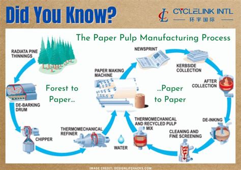 Image result for Pulp to Make Paper
