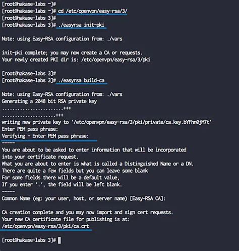 Easy-Rsa OpenVPN 的图像结果