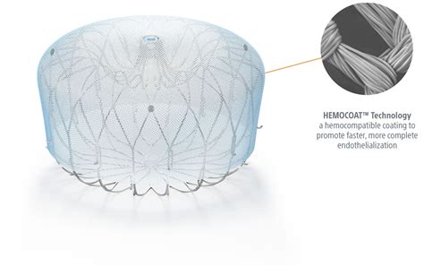 Image result for Video Watchman Device.com