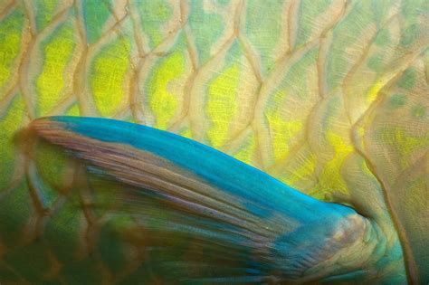 Delight In The Details | Nature inFocus