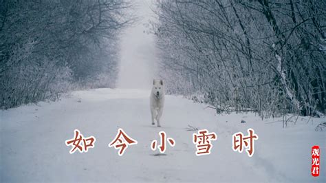 小雪节气：品读《咏廿四气诗·小雪十月中》，了解小雪_湃客_澎湃新闻-The Paper