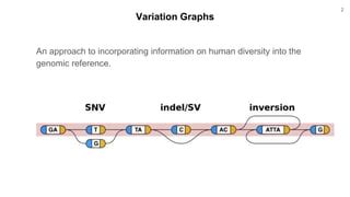 Image result for Variation Graph