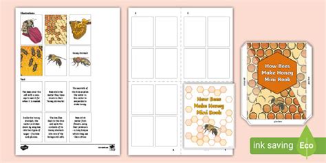 How Bees Make Honey Mini Book (teacher made)