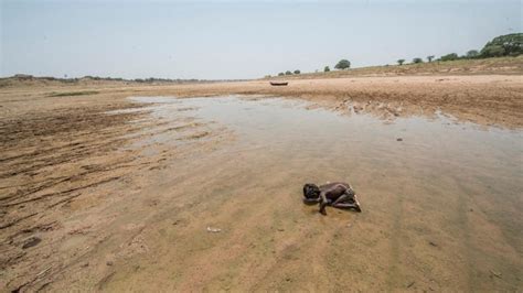 Scenes From A Deadly Drought - India Today Insight News
